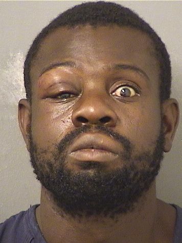  JOHN ROTYLOVELY CELIUS Results from Palm Beach County Florida for  JOHN ROTYLOVELY CELIUS