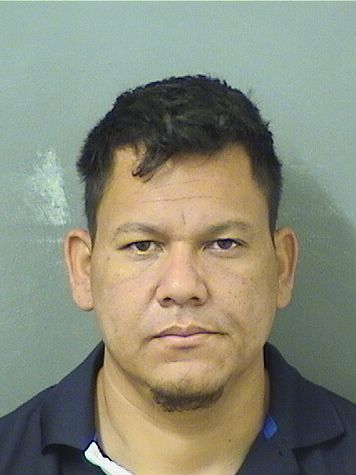  GERSON ANDRADA Results from Palm Beach County Florida for  GERSON ANDRADA