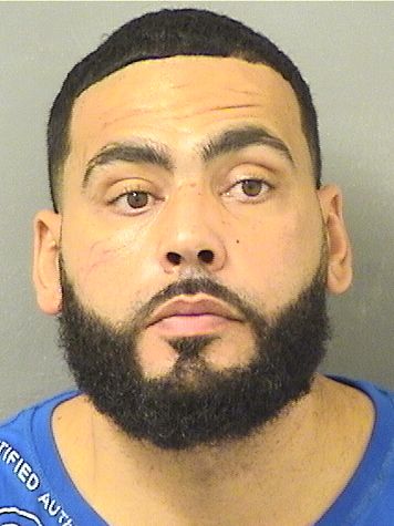  ANTONIO JORGE Sr STEINMAN Results from Palm Beach County Florida for  ANTONIO JORGE Sr STEINMAN