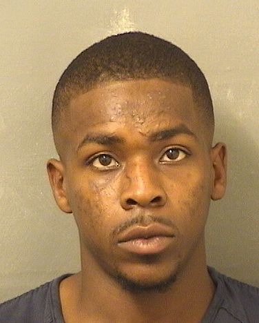  RAYMOND GAVIN JOHNSON Resultados de la busqueda para Palm Beach County Florida para  RAYMOND GAVIN JOHNSON