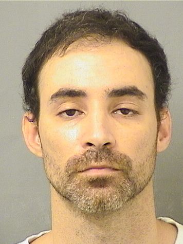  GUSTAVO RAFAEL CINTRONORTIZ Results from Palm Beach County Florida for  GUSTAVO RAFAEL CINTRONORTIZ