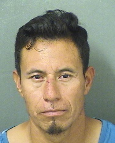  CARLOS ZACARIAS GONZALEZHERNANDEZ Results from Palm Beach County Florida for  CARLOS ZACARIAS GONZALEZHERNANDEZ