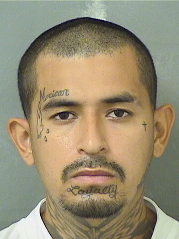 JUAN C FLORES Results from Palm Beach County Florida for JUAN C FLORES JUAN C FLORES Results from Palm Beach County Florida for JUAN C FLORES