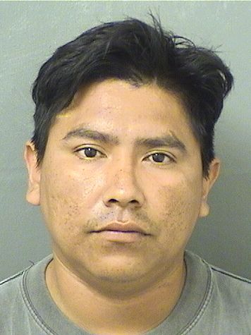  JESUS ALBERTO CELIS Results from Palm Beach County Florida for  JESUS ALBERTO CELIS