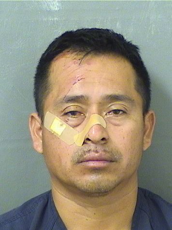  DIEGO FRANCISCOMIGUEL Photo For  DIEGO FRANCISCOMIGUEL