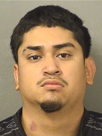  RIVALDO D GRANADOS Results from Palm Beach County Florida for  RIVALDO D GRANADOS