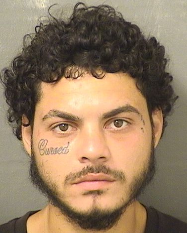 ALEXANDER ISAIAH CLAUDIO Results from Palm Beach County Florida for  ALEXANDER ISAIAH CLAUDIO