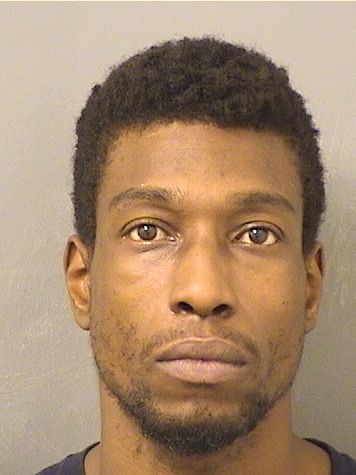  ERICKSON RICARDO DURANDISSE Results from Palm Beach County Florida for  ERICKSON RICARDO DURANDISSE