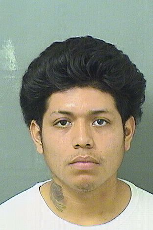 ALEJANDRO CHACHA Results from Palm Beach County Florida for ALEJANDRO CHACHA ALEJANDRO CHACHA Results from Palm Beach County Florida for ALEJANDRO CHACHA