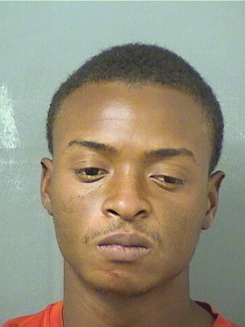  STEPHANE ERARD Results from Palm Beach County Florida for  STEPHANE ERARD