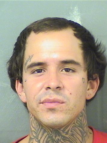  WESLEY GENE HAGGERTY Results from Palm Beach County Florida for  WESLEY GENE HAGGERTY