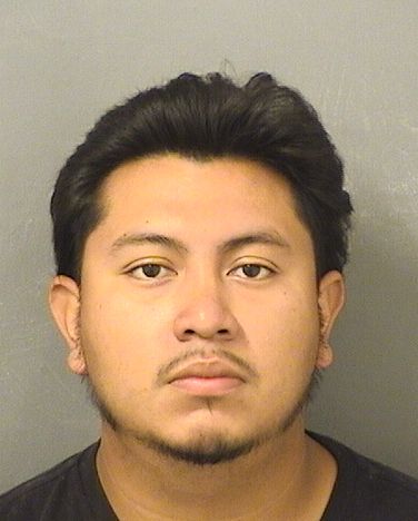  JOSHUA ALEXANDER ROBLERO Results from Palm Beach County Florida for  JOSHUA ALEXANDER ROBLERO