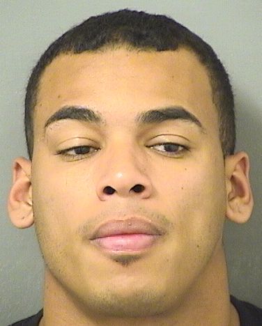  RICHAR ANDRES PERLAZASANCHEZ Results from Palm Beach County Florida for  RICHAR ANDRES PERLAZASANCHEZ