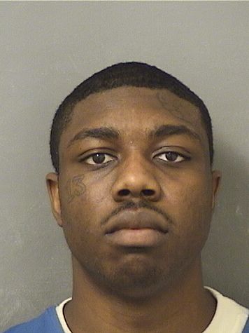  AARON I LOUIS Results from Palm Beach County Florida for  AARON I LOUIS