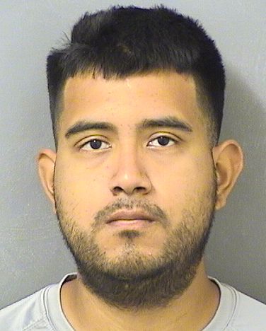  SERGIO ALBERTO MORALESLOPEZ Results from Palm Beach County Florida for  SERGIO ALBERTO MORALESLOPEZ