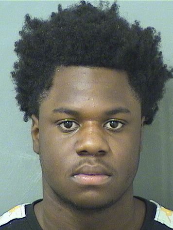  DELANOS L III BROWN Results from Palm Beach County Florida for  DELANOS L III BROWN