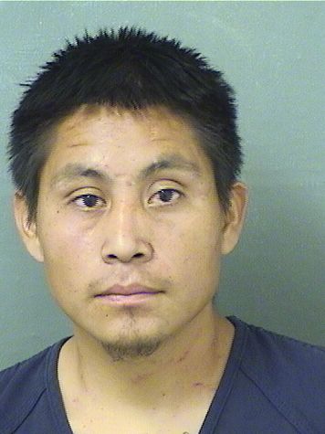  TOMAS TOMAS GASPAR Results from Palm Beach County Florida for  TOMAS TOMAS GASPAR