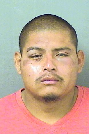  SANTIAGO FELIPELAINEZ Photo