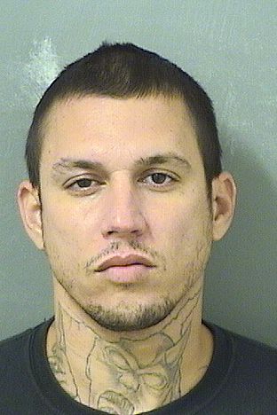  ELMER RIVERAROMAN Results from Palm Beach County Florida for  ELMER RIVERAROMAN