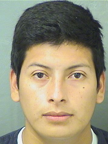  VICTOR MAURICIO VASQUEZ Results from Palm Beach County Florida for  VICTOR MAURICIO VASQUEZ