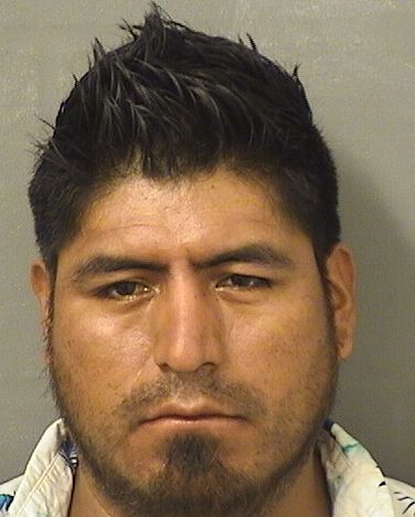 JAIME LOPEZ Results from Palm Beach County Florida for JAIME LOPEZ JAIME LOPEZ Results from Palm Beach County Florida for JAIME LOPEZ