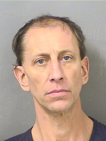  DAVID MICHAEL YANNIELLO Results from Palm Beach County Florida for  DAVID MICHAEL YANNIELLO