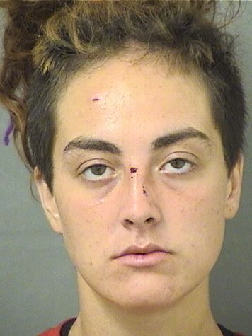  ZOEE VANMETER Results from Palm Beach County Florida for  ZOEE VANMETER