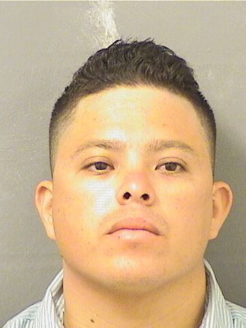  WILMAR HERNANDEZLUNA Resultados de la busqueda para Palm Beach County Florida para  WILMAR HERNANDEZLUNA