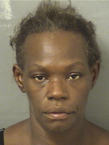  DIANNE GEORGINA YOUNG Results from Palm Beach County Florida for  DIANNE GEORGINA YOUNG