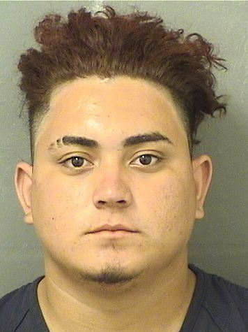  HECTOR MANUEL CARCAMOBARAHONA Results from Palm Beach County Florida for  HECTOR MANUEL CARCAMOBARAHONA