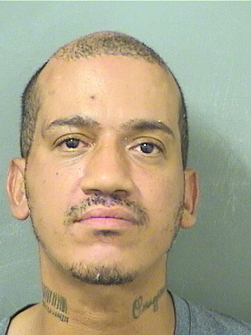  ARNALDO ANDRES MURIEL Results from Palm Beach County Florida for  ARNALDO ANDRES MURIEL