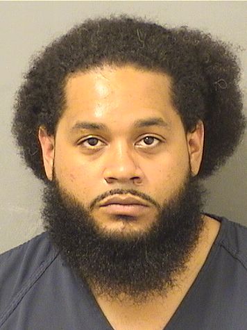  DEVON JAMES FISHMAN Results from Palm Beach County Florida for  DEVON JAMES FISHMAN