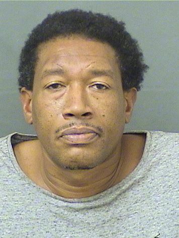  WAYNE ALPHONSO Jr REAVES Results from Palm Beach County Florida for  WAYNE ALPHONSO Jr REAVES