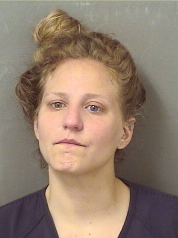  PAIGE M DOLAN Results from Palm Beach County Florida for  PAIGE M DOLAN