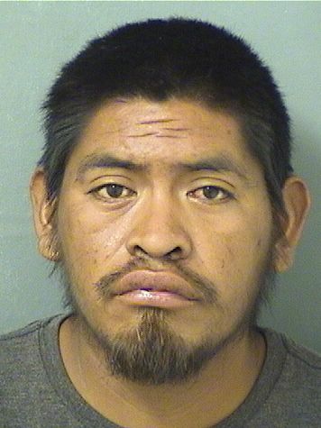 JUAN HERNANDEZGOMEZ Results from Palm Beach County Florida for JUAN HERNANDEZGOMEZ JUAN HERNANDEZGOMEZ Results from Palm Beach County Florida for JUAN HERNANDEZGOMEZ