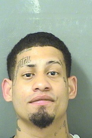  ALEXIS ALEJONDRO CHAVECOELIAS Results from Palm Beach County Florida for  ALEXIS ALEJONDRO CHAVECOELIAS