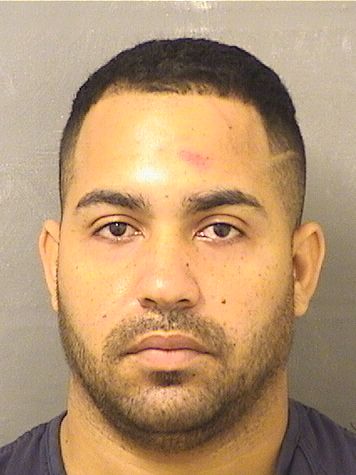 FELIX ROSA Results from Palm Beach County Florida for FELIX ROSA FELIX ROSA Results from Palm Beach County Florida for FELIX ROSA