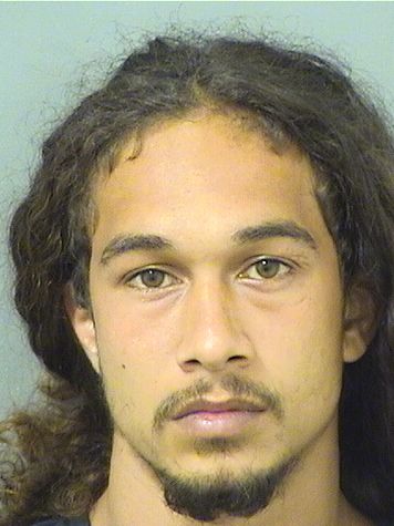  MARIO JOSE PUN Results from Palm Beach County Florida for  MARIO JOSE PUN