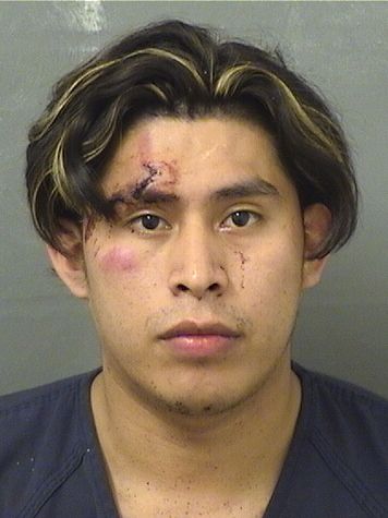  COSME WOSVELY FUNESCANO Results from Palm Beach County Florida for  COSME WOSVELY FUNESCANO