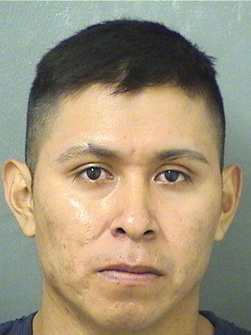  SEBASTIAN BACILIO TOMAS Results from Palm Beach County Florida for  SEBASTIAN BACILIO TOMAS