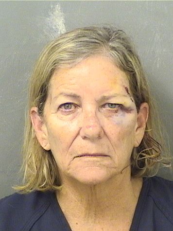 DIANE ELLA FERRY Results from Palm Beach County Florida for DIANE ELLA FERRY DIANE ELLA FERRY Results from Palm Beach County Florida for DIANE ELLA FERRY
