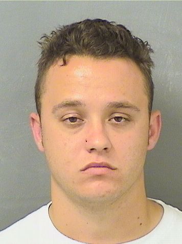  VINCENT LEE NEIL Results from Palm Beach County Florida for  VINCENT LEE NEIL