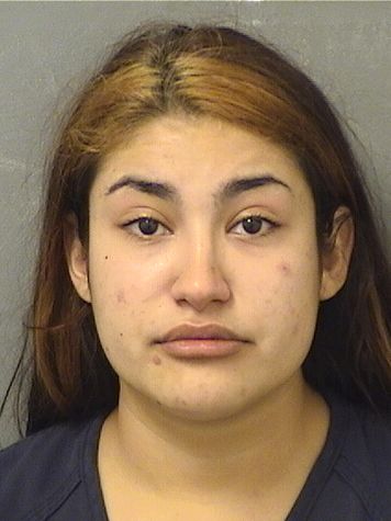  NICOLE IGELKO Results from Palm Beach County Florida for  NICOLE IGELKO