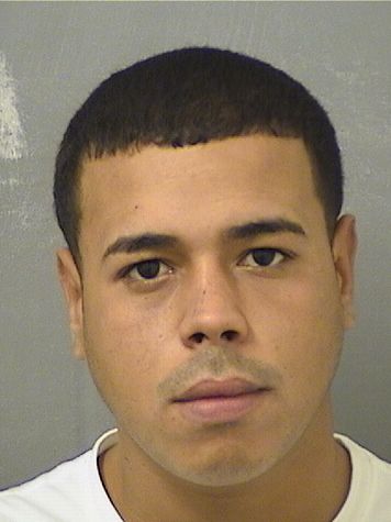  YANKO ALBERTO RODRIGUEZ Results from Palm Beach County Florida for  YANKO ALBERTO RODRIGUEZ