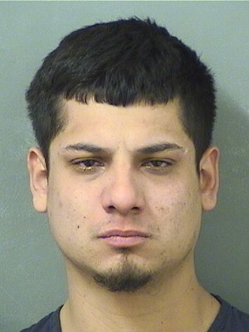  JOSE MANUEL HERNANDEZ Results from Palm Beach County Florida for  JOSE MANUEL HERNANDEZ