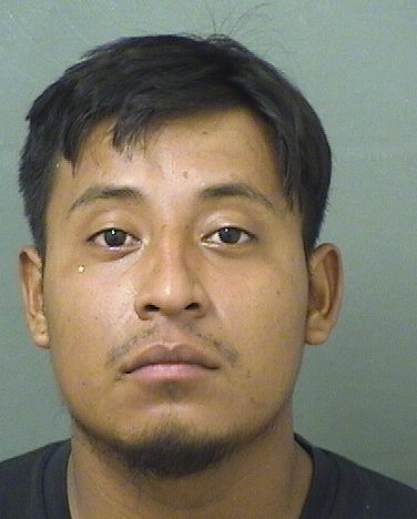  FREDY FILBERTO PEREZGARCIA Results from Palm Beach County Florida for  FREDY FILBERTO PEREZGARCIA