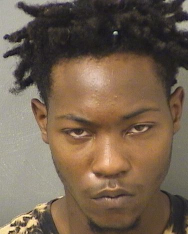  RUBIN LENARD III HUGEE Results from Palm Beach County Florida for  RUBIN LENARD III HUGEE