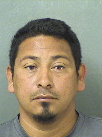  MIGUEL FERMIN MONTEJODOMINGO Photo For  MIGUEL FERMIN MONTEJODOMINGO