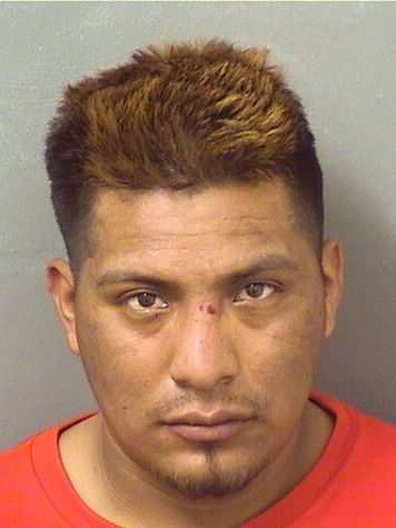  ERIK ELDAI VELASQUEZROBLERO Resultados de la busqueda para Palm Beach County Florida para  ERIK ELDAI VELASQUEZROBLERO