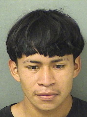  BYRON JOEL FELIPEPEDRO Resultados de la busqueda para Palm Beach County Florida para  BYRON JOEL FELIPEPEDRO